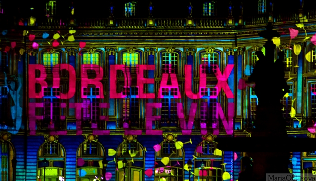 Ежегодный фестиваль вина в Бордо 2013